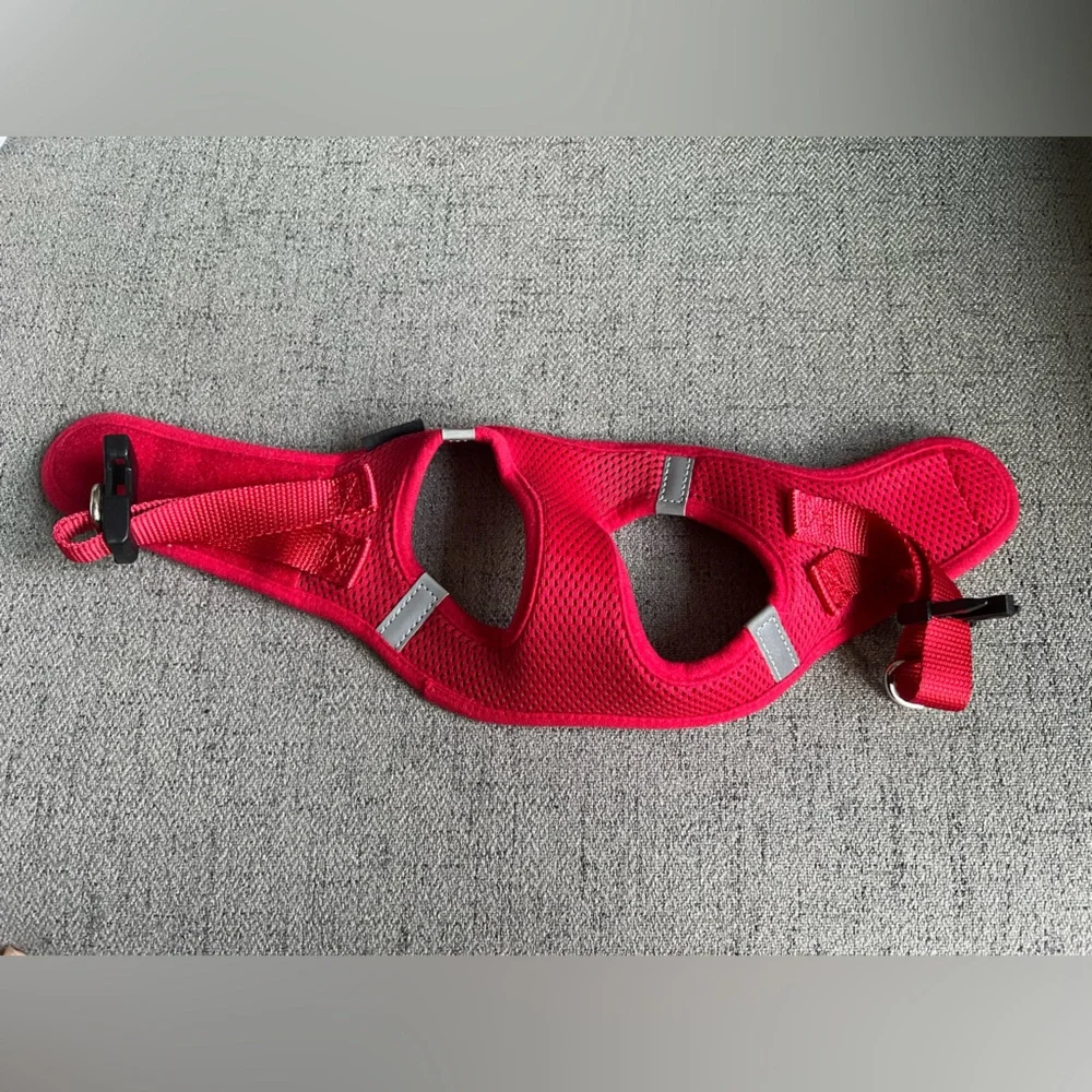 Red dog harness